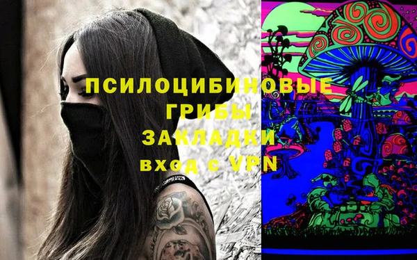 не бодяженный Каменногорск