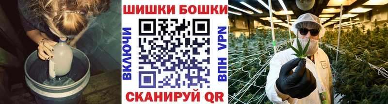 Конопля семена  Купить где  Сызрань 
